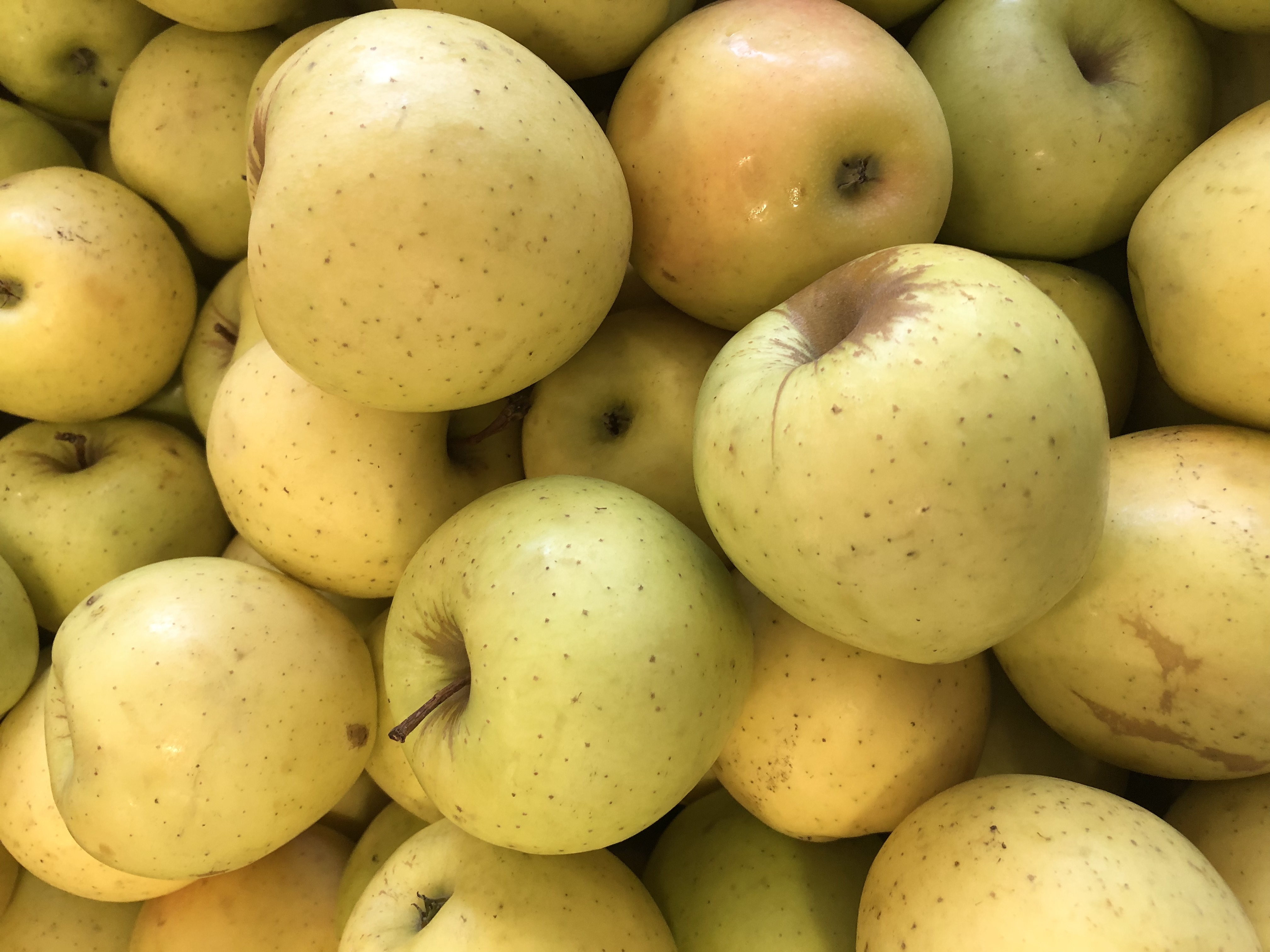 Pomme Golden