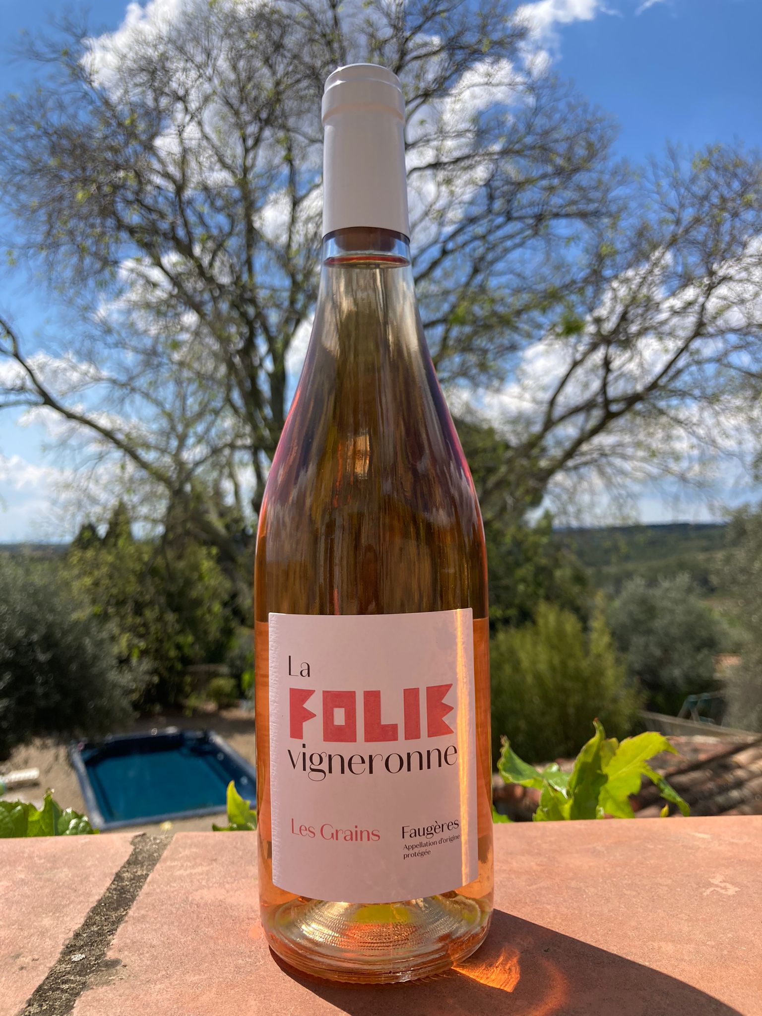 Les Grains - Rose - 2022