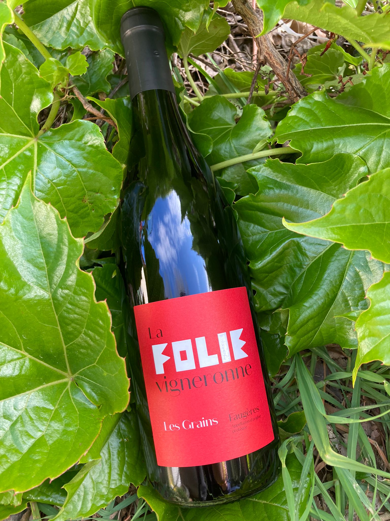 Les Grains - Rouge - 2021