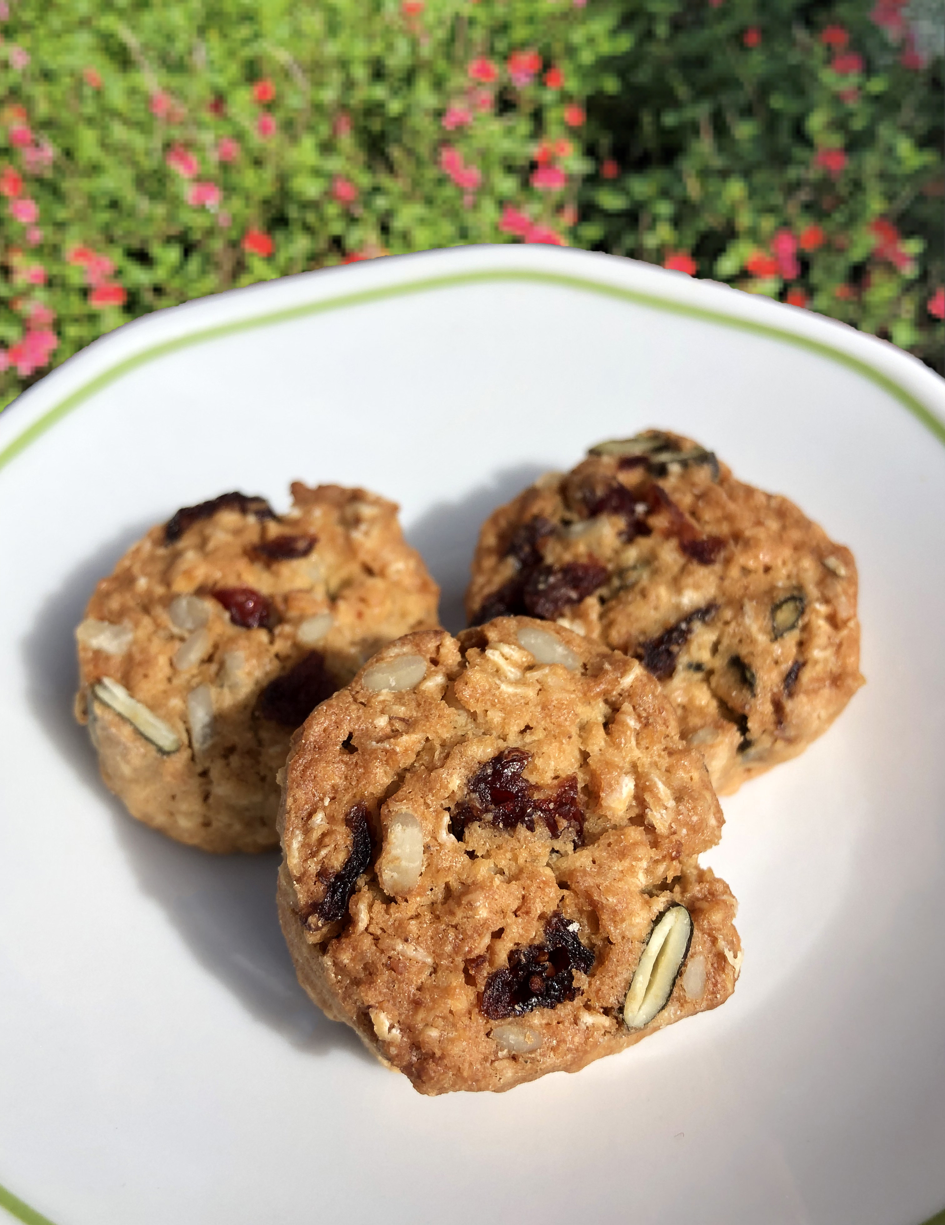 Cookie aux flocons d avoine, graines et canneberge