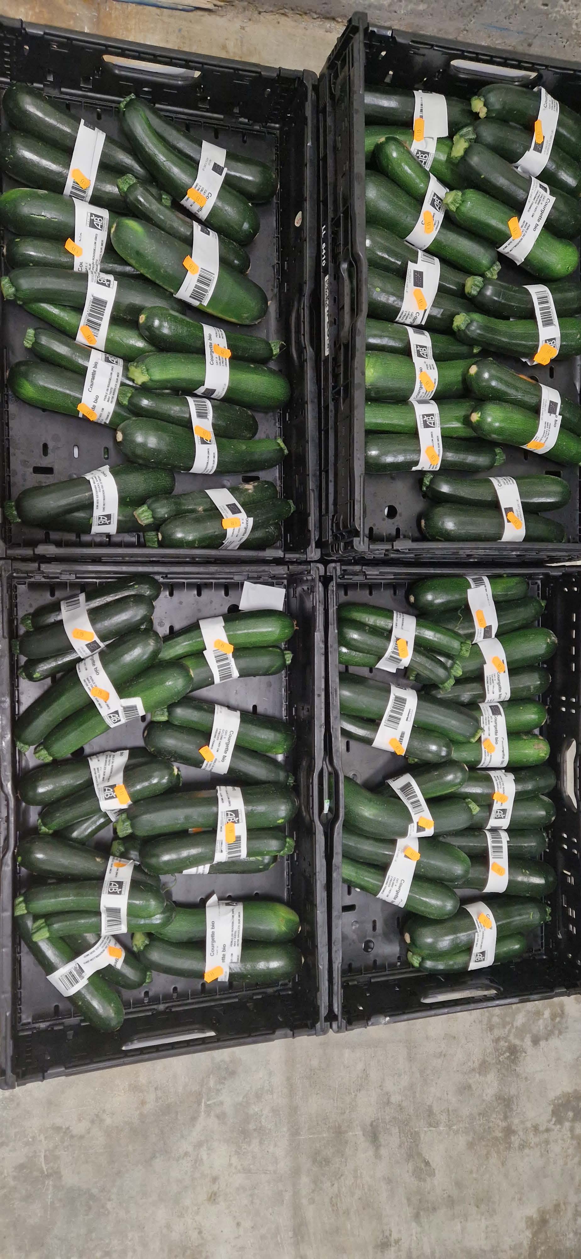 Courgette