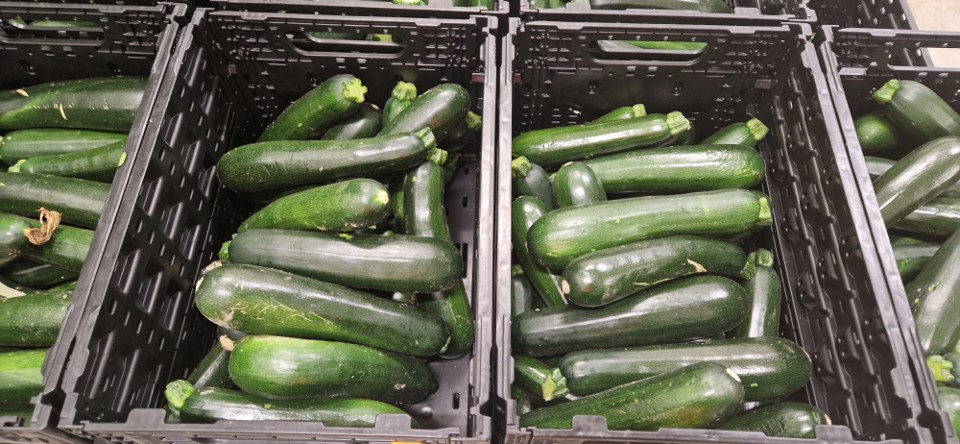 Courgette