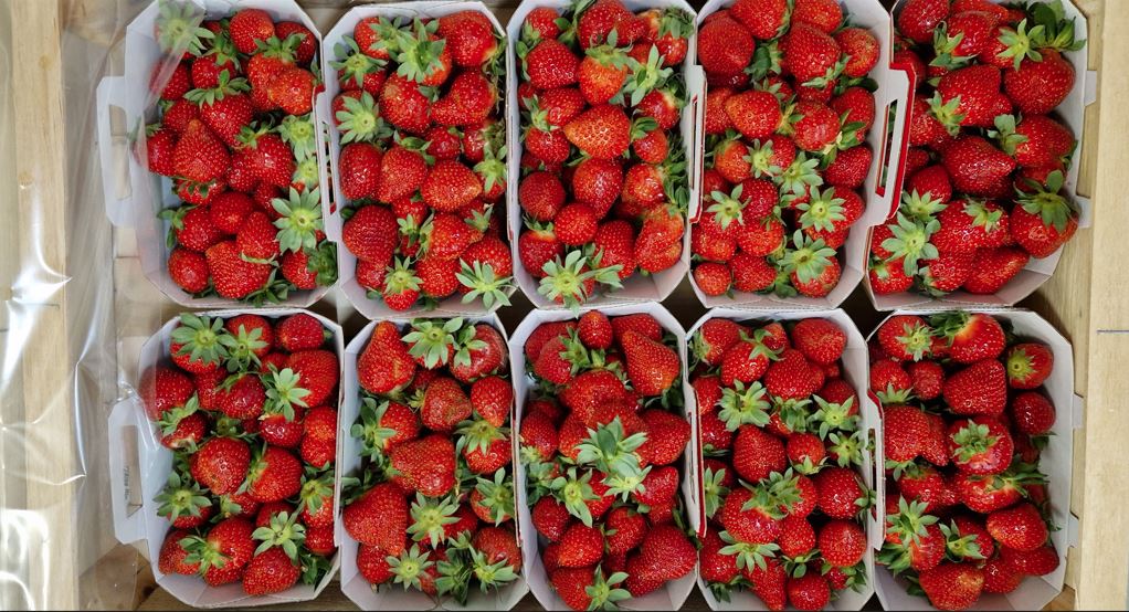 Fraise