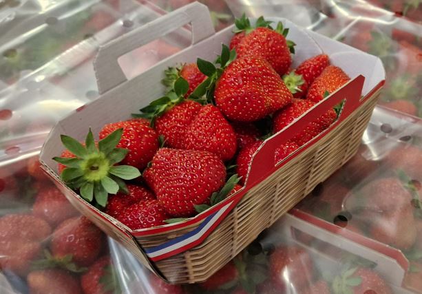 Fraise