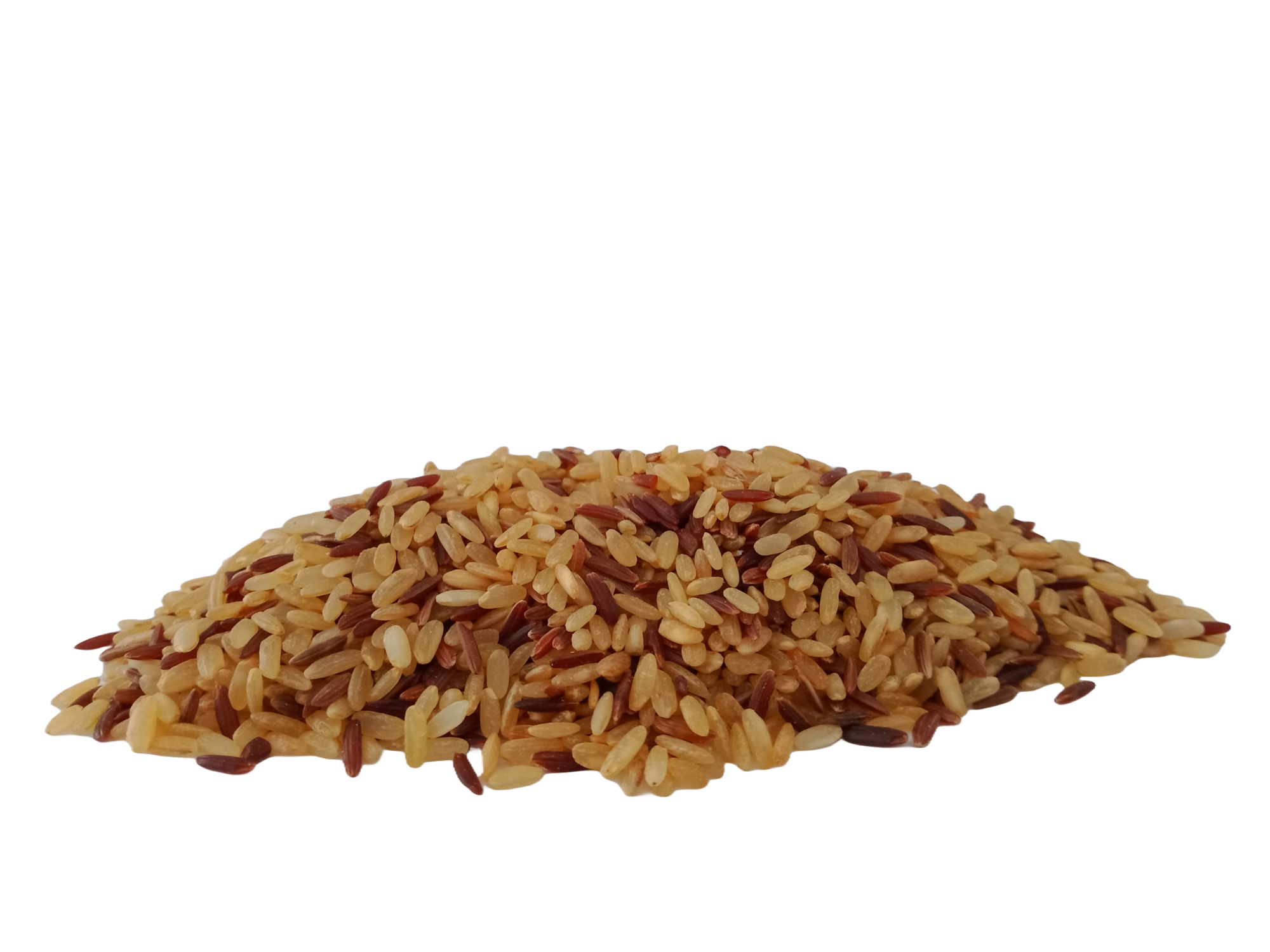 SAC 1 KG MT RIZ DE CAMARGUE IGP DUO CUISSON 15 MIN