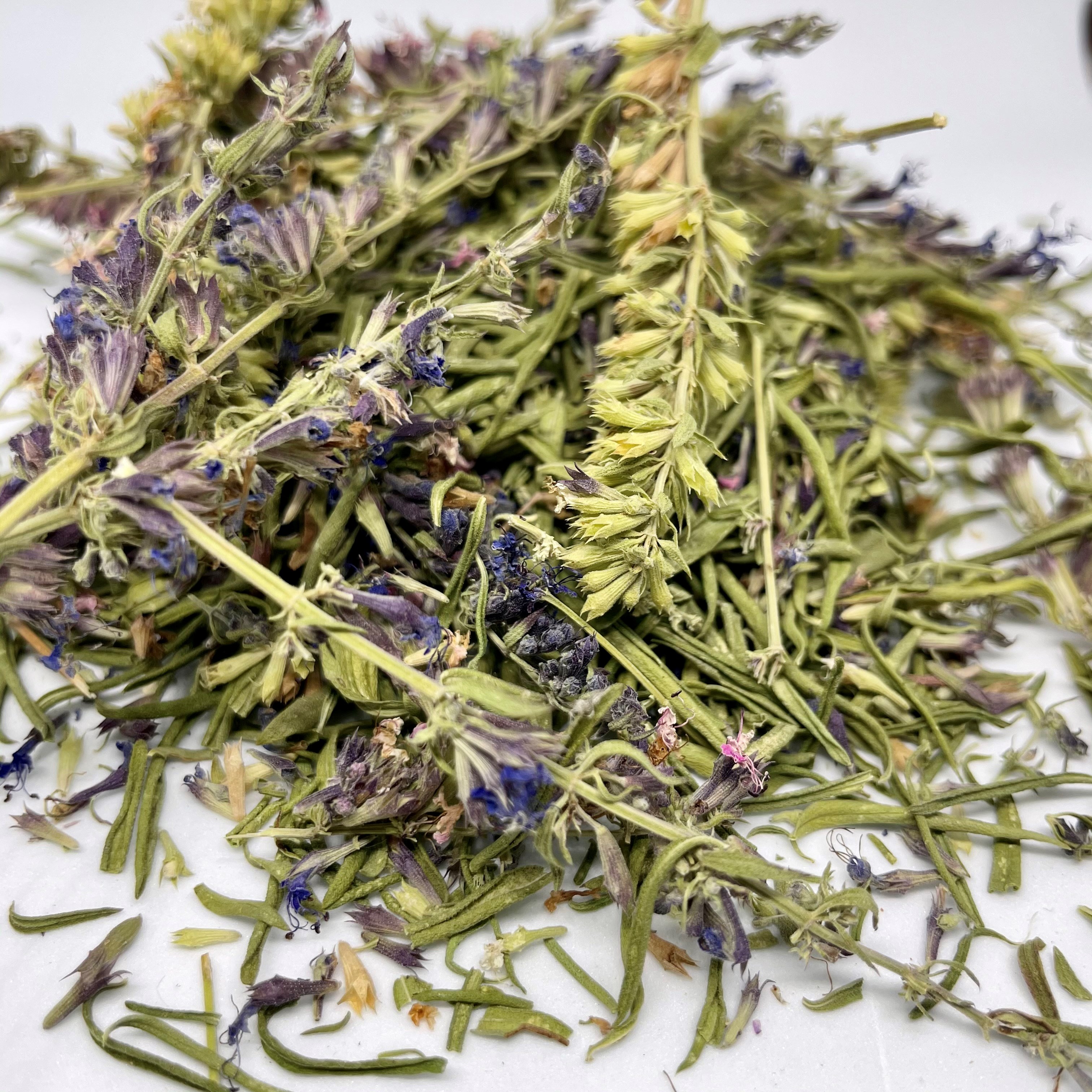 Hysope de l'Herbier de Pouzes