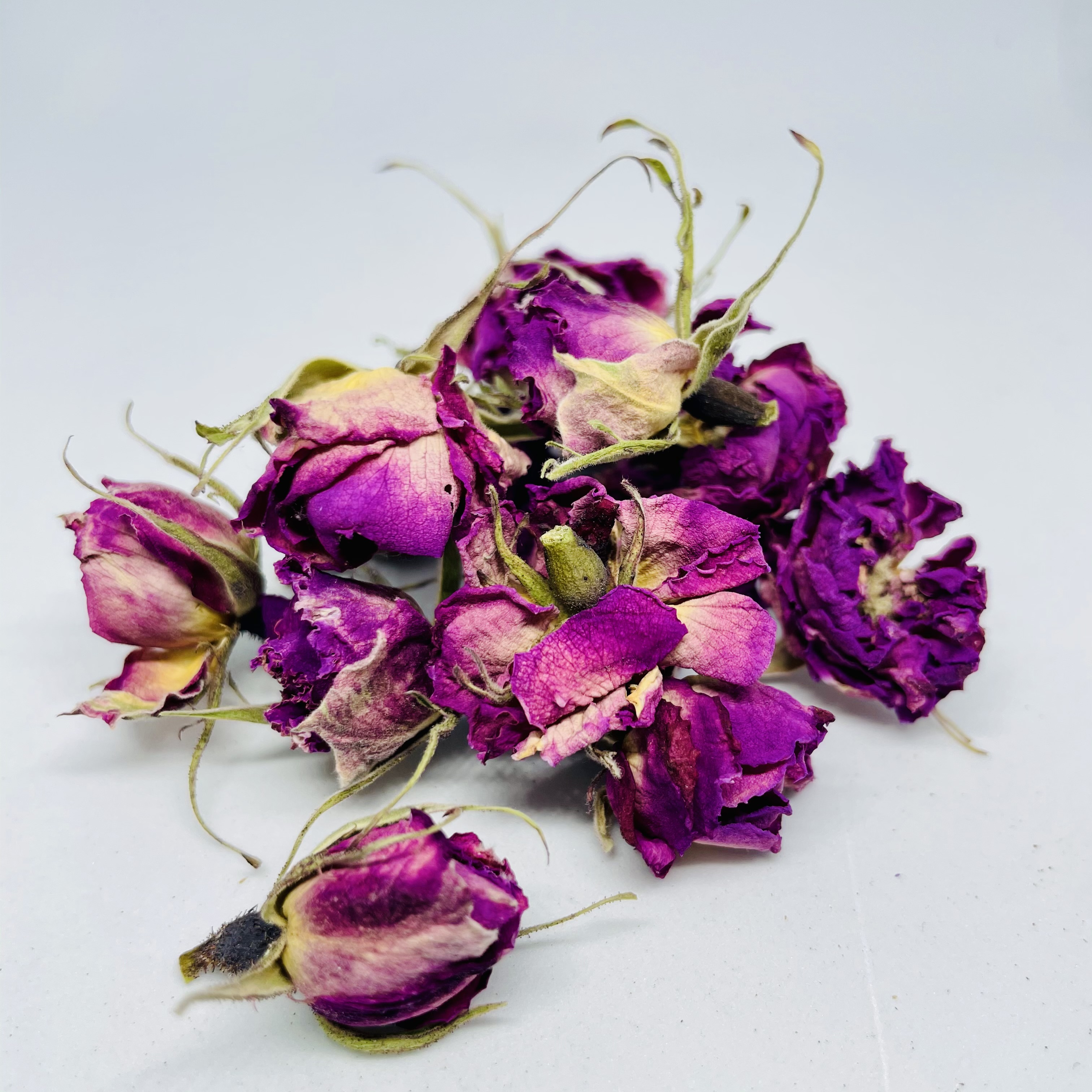 Rose de Mai de l'Herbier de Pouzes