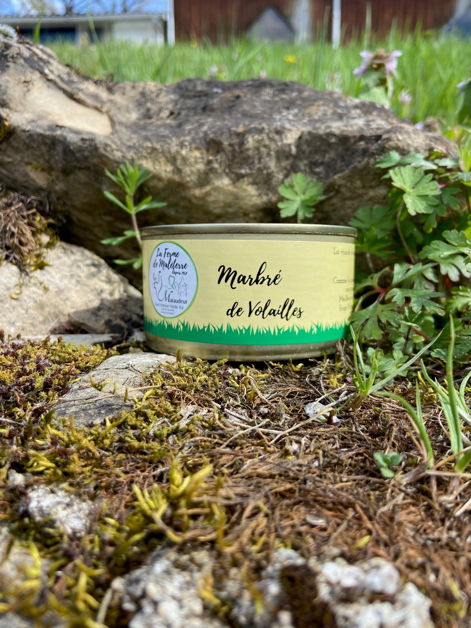 Marbré de volailles