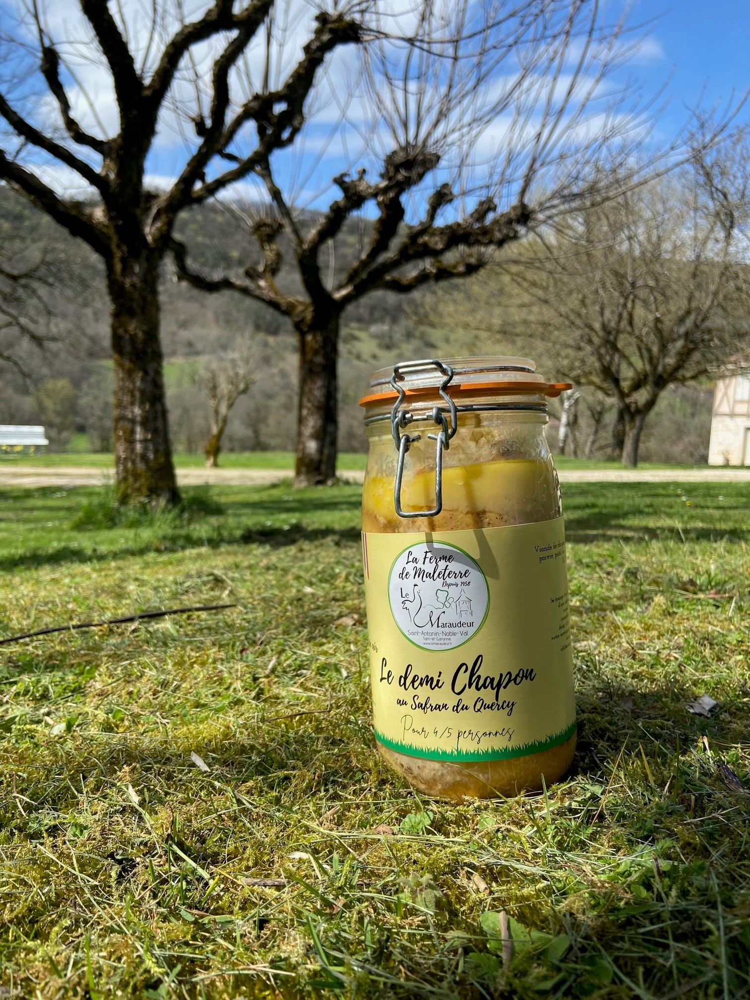 Bocal demi chapon au safran