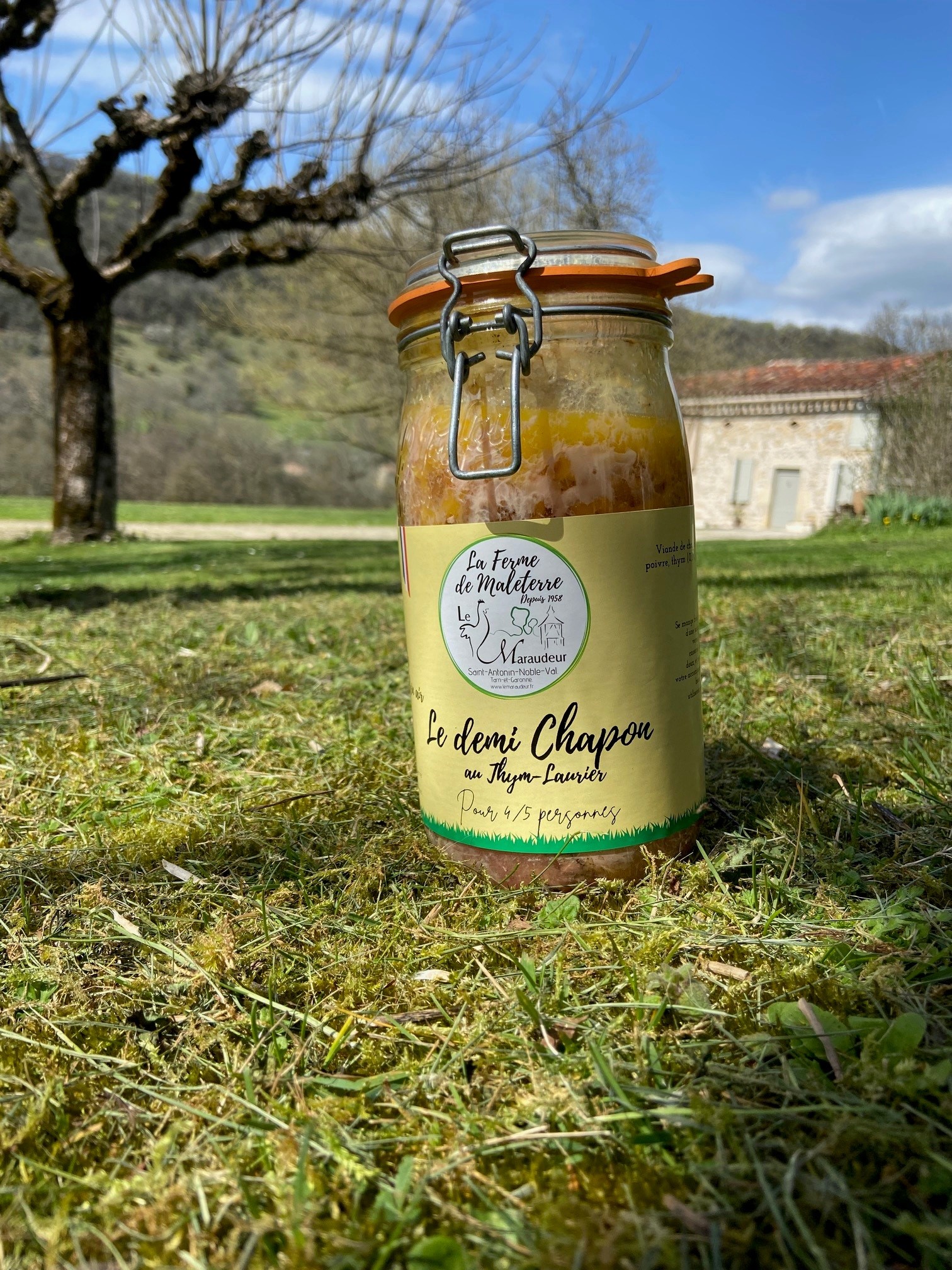 Bocal demi chapon au thym laurier