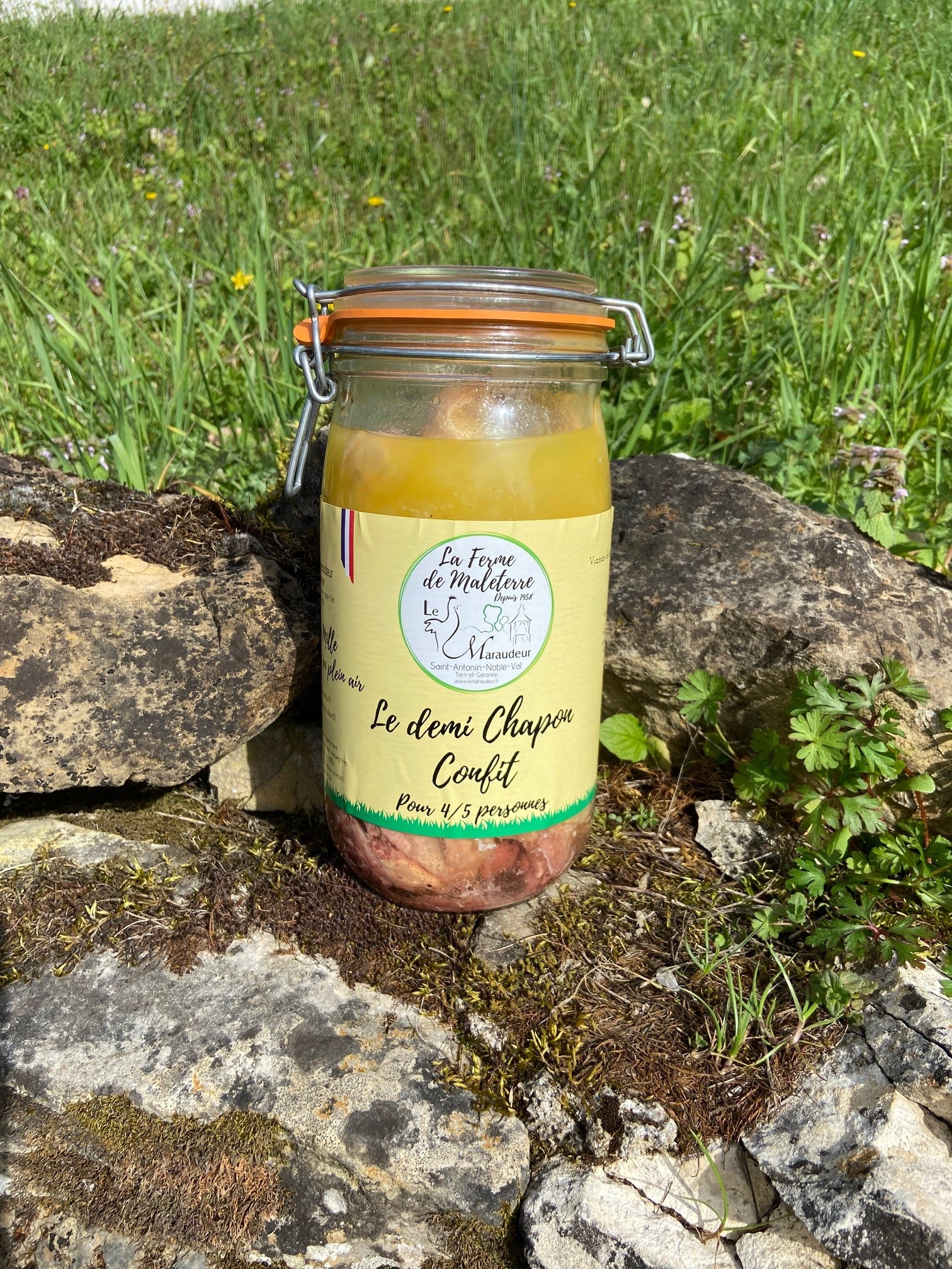 Bocal demi chapon confit
