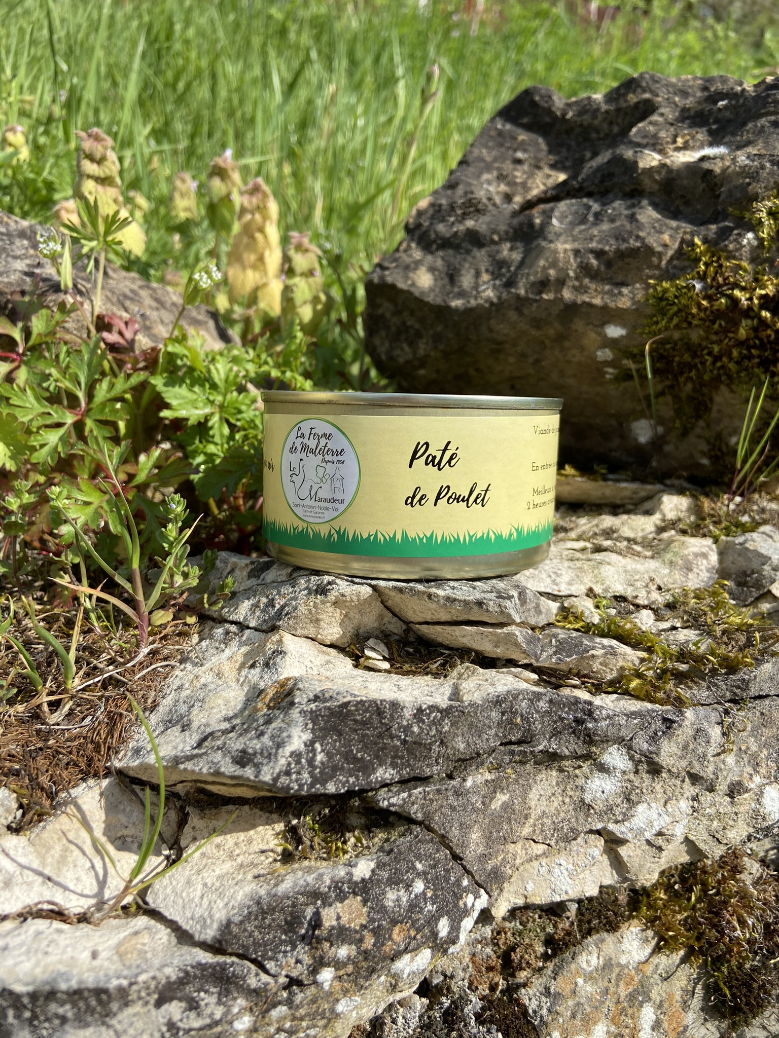 Pâté de poulet