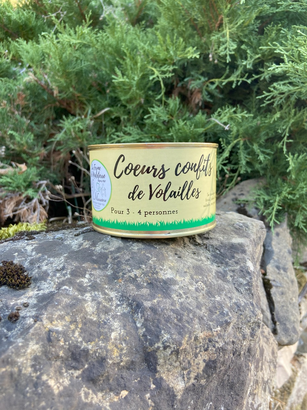 Cœurs confits e volailles
