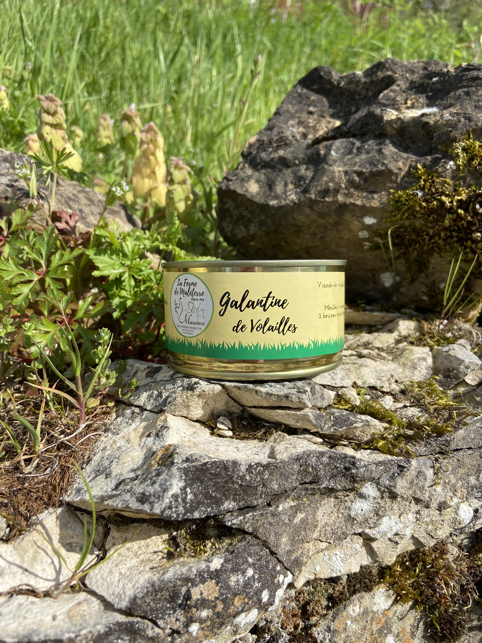 Galantine de volaille