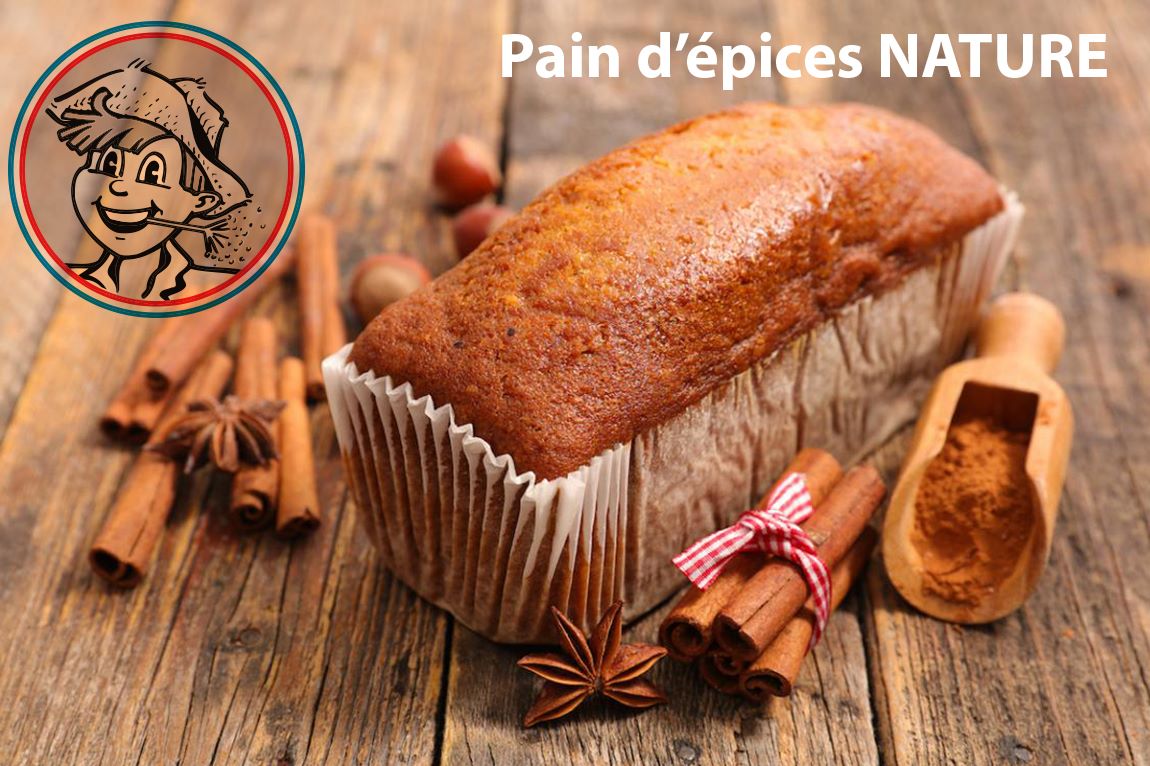 PAIN d' Epices au Miel