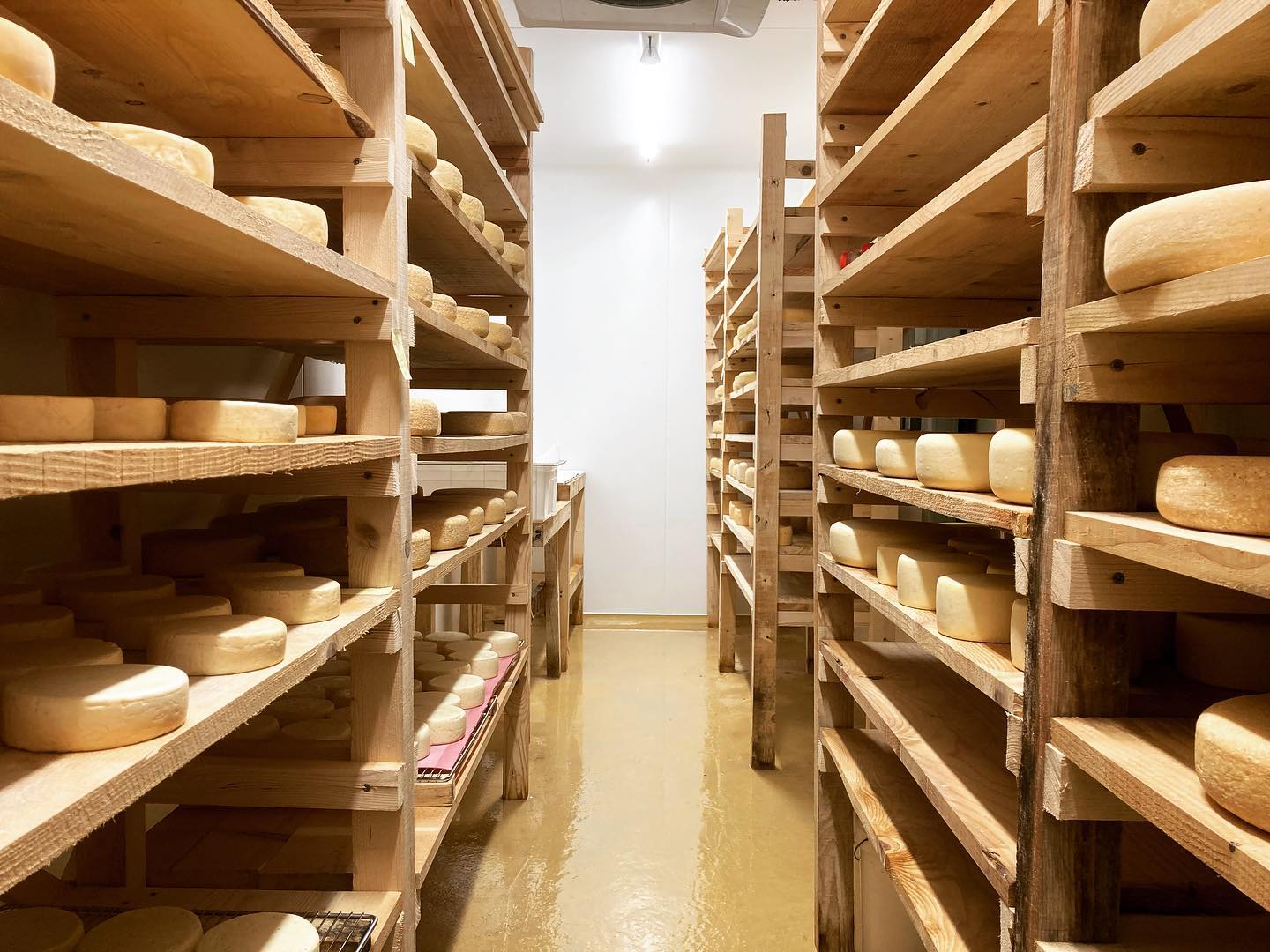 Tomme des Pyrénées IGP