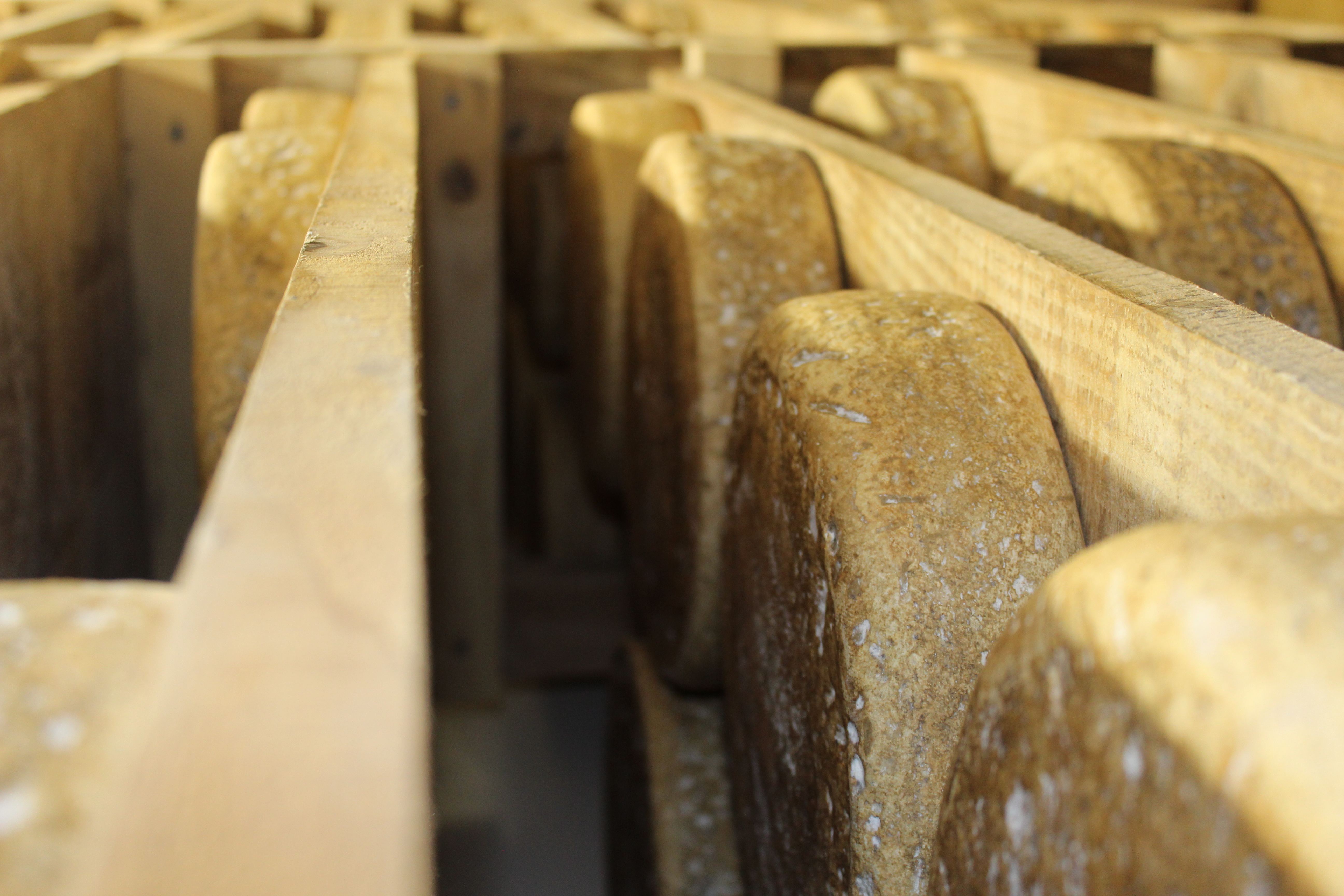 Tomme des Pyrénées IGP