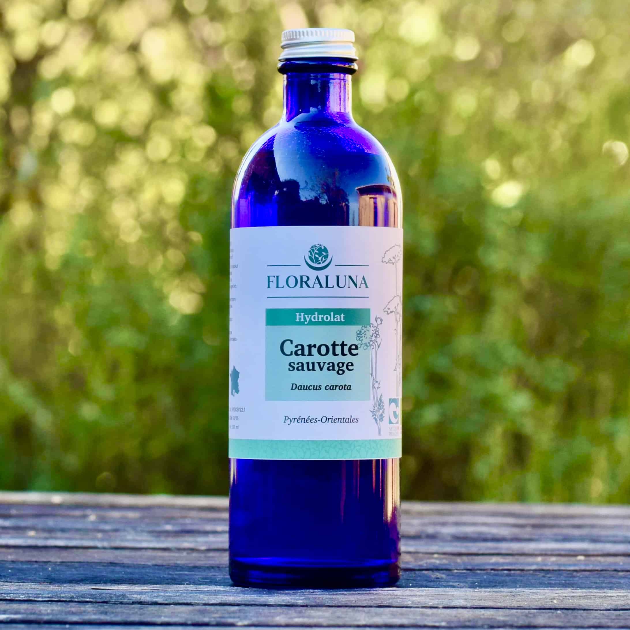 Hydrolat de Carotte Sauvage