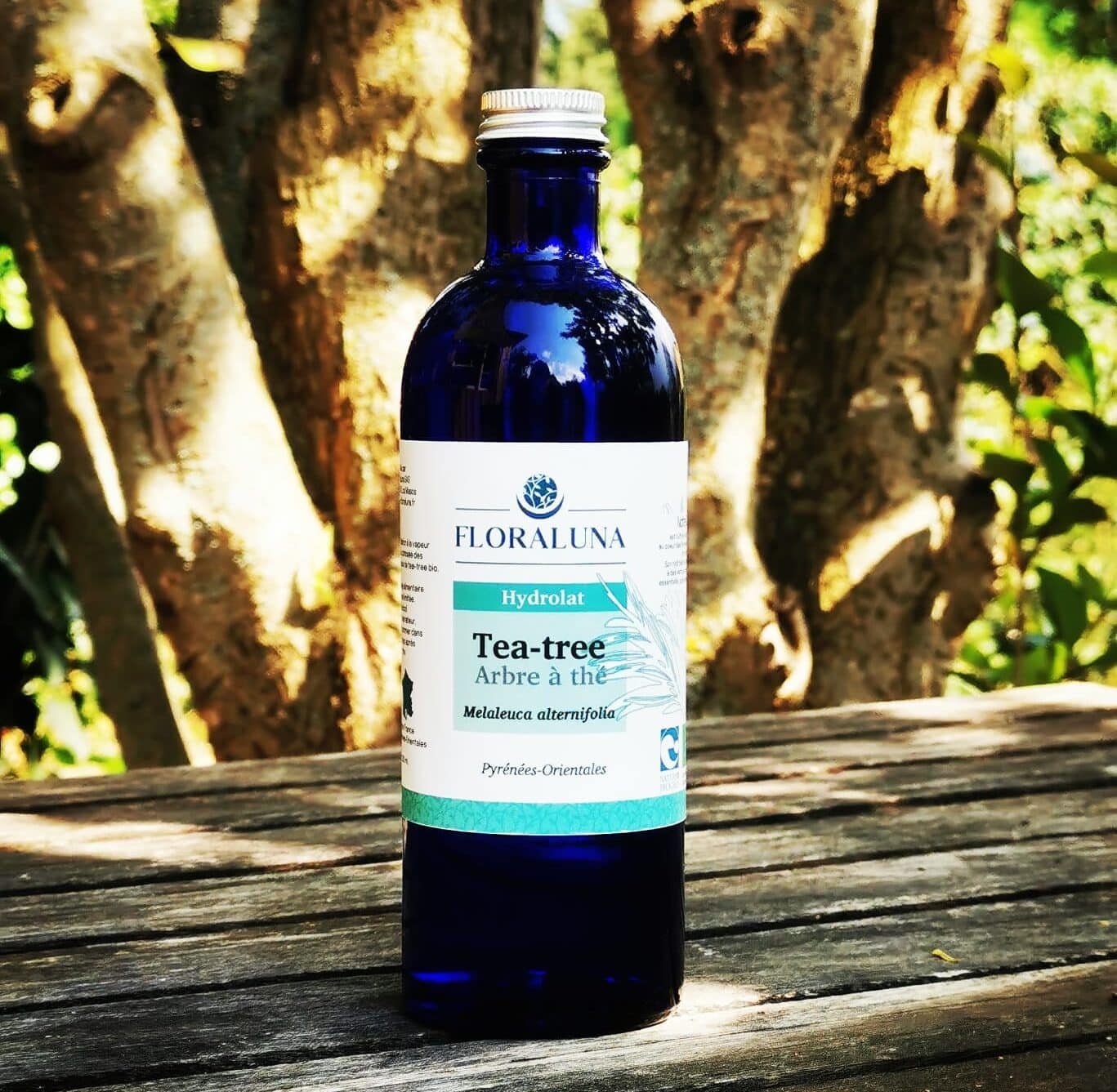 Hydrolat de Tea-tree