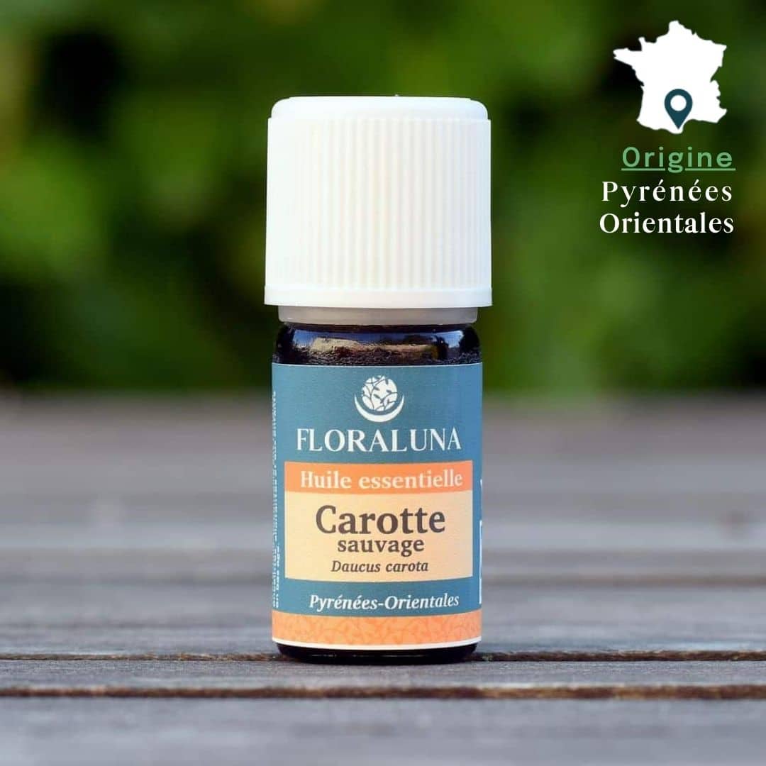Huile essentielle de Carotte Sauvage