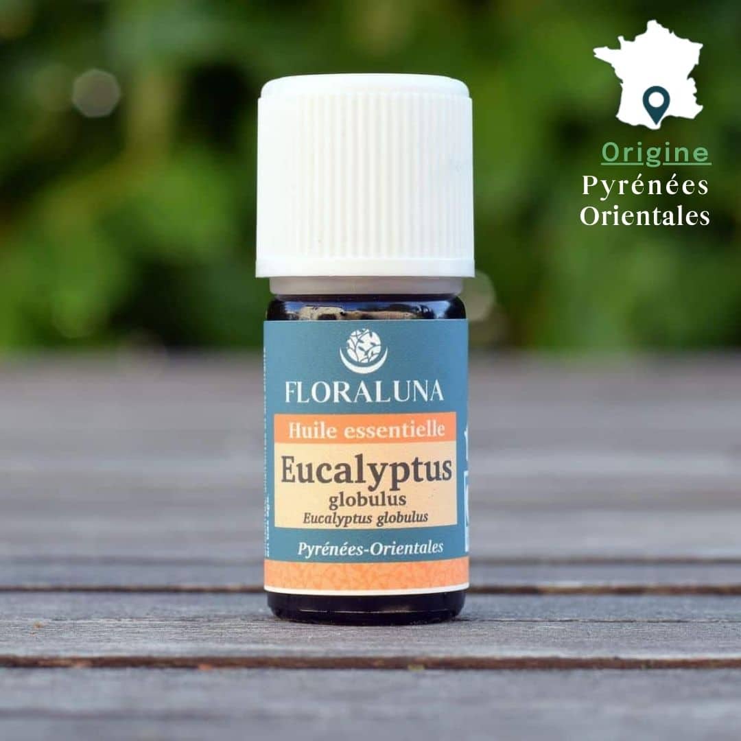 Huile essentielle Eucalyptus Globulus
