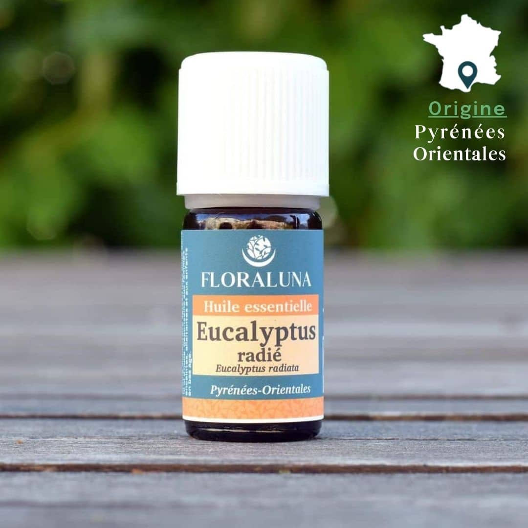 Huile essentielle Eucalyptus Radié