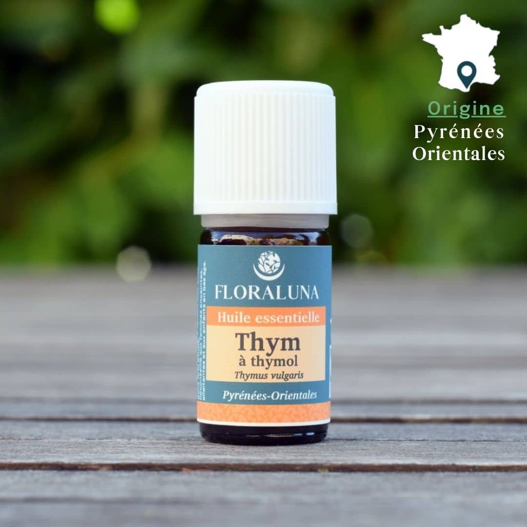 Huile essentielle de Thym à thymol