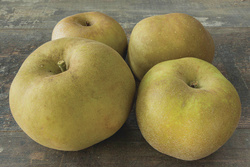 Pommes Canada Grises