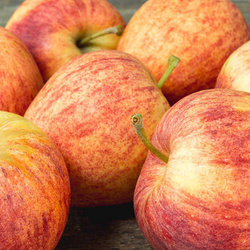 Pommes Gala