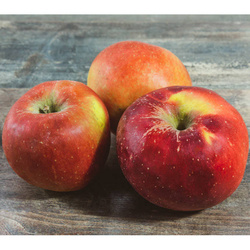 Pommes Melrose