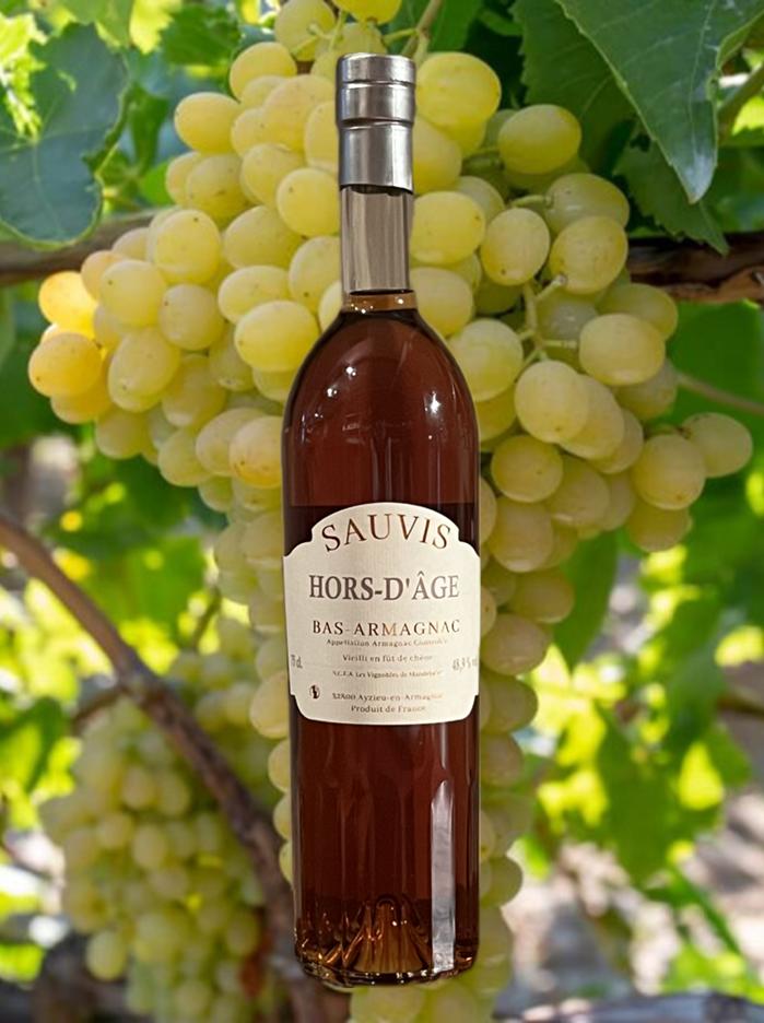 BAS-ARMAGNAC HORS D'ÂGE