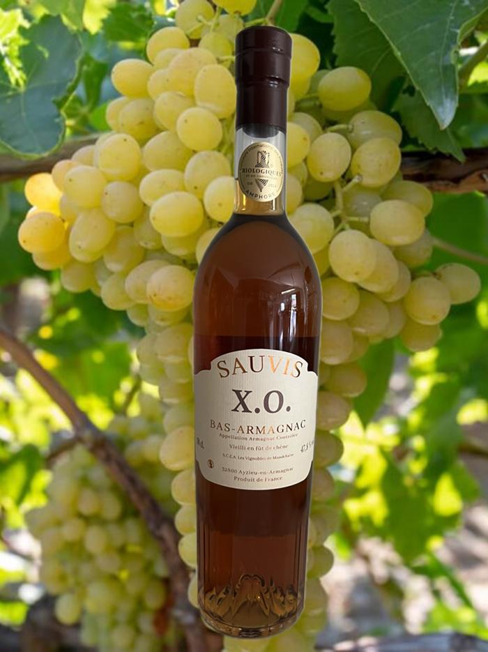 BAS-ARMAGNAC X.O.