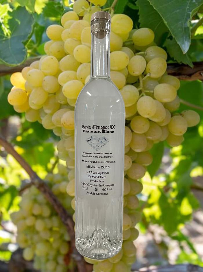 BLANCHE D'ARMAGNAC DIAMANT BLANC