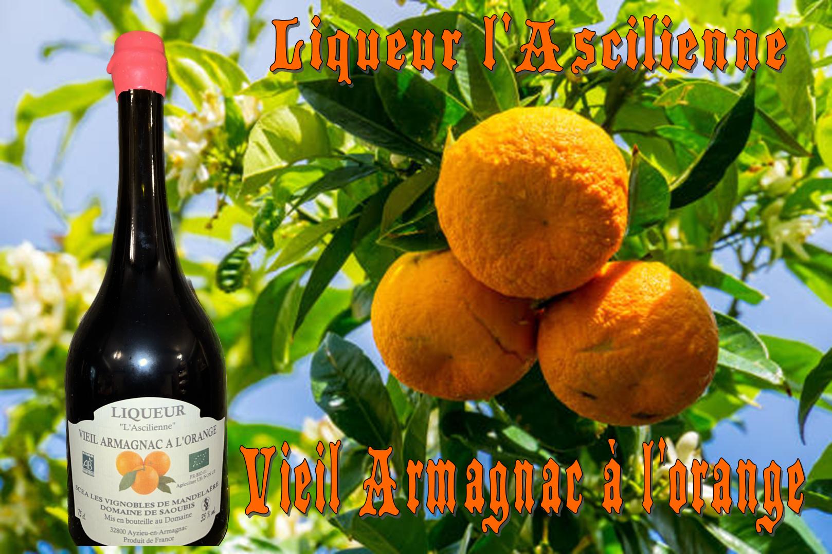 LIQUEUR ASCILIENNE