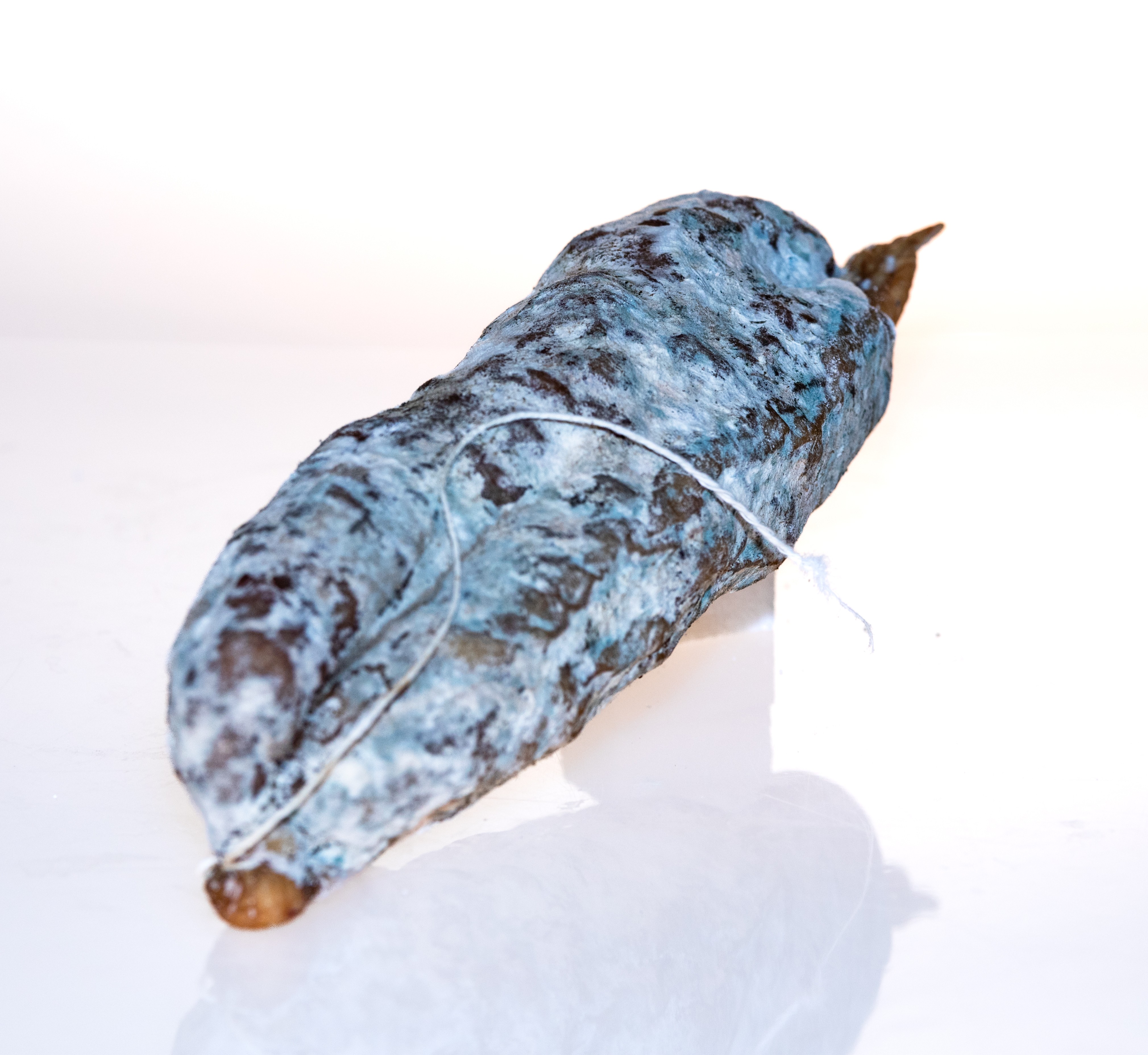 Saucisson sec
