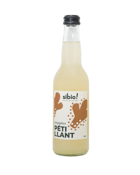 Pétillant Gingembre bio 33CL