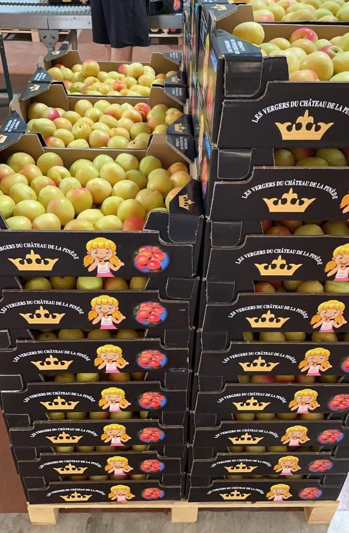 ABRICOTS