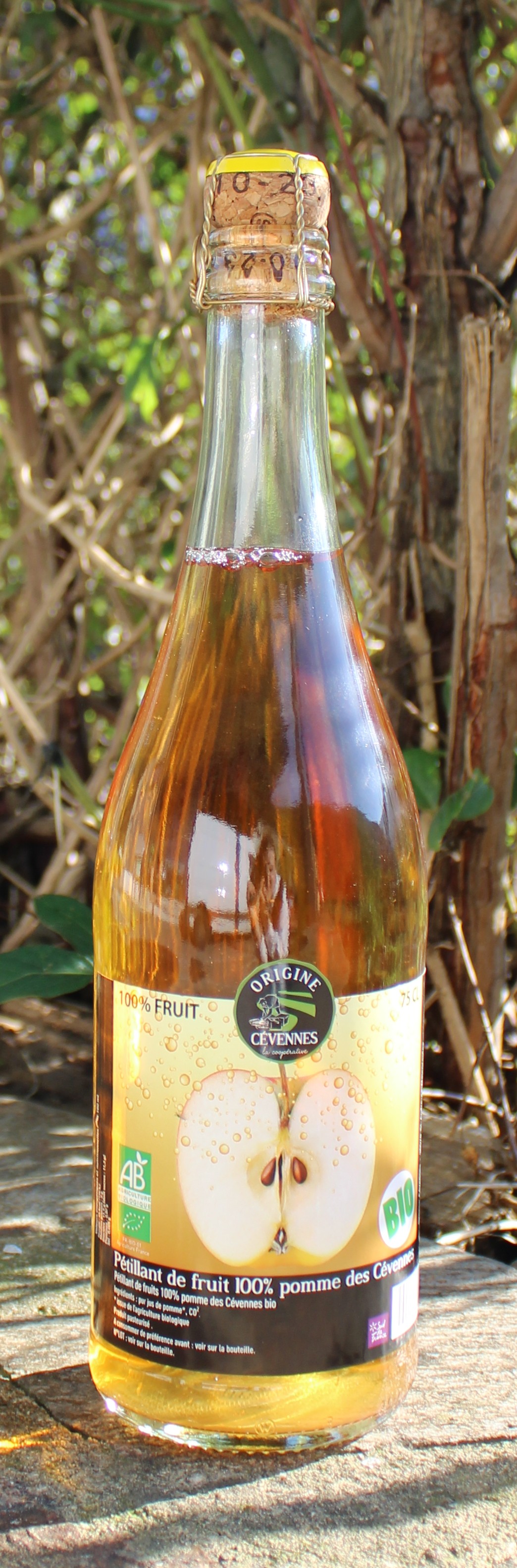 petillant de pomme bio