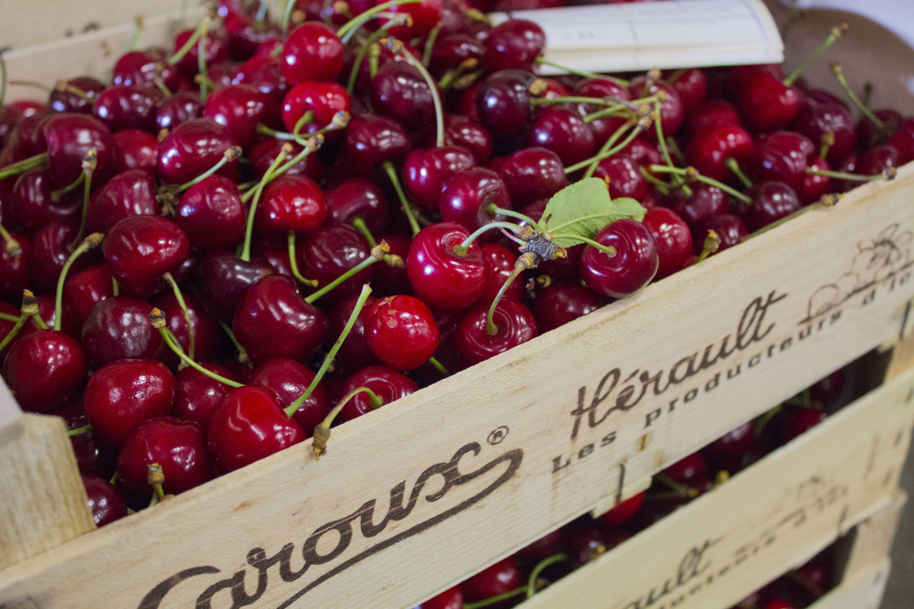 Cerises rouges
