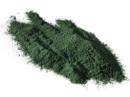 spiruline en poudre