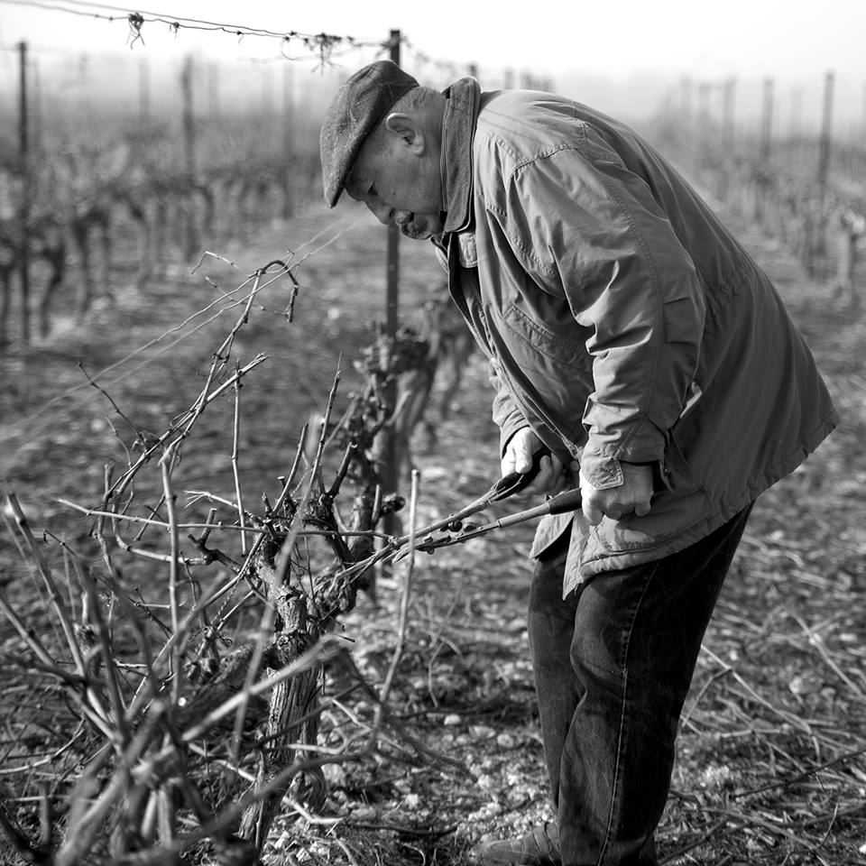 Vignoble Chabrier - Riomal de Molines Rouge - 2016