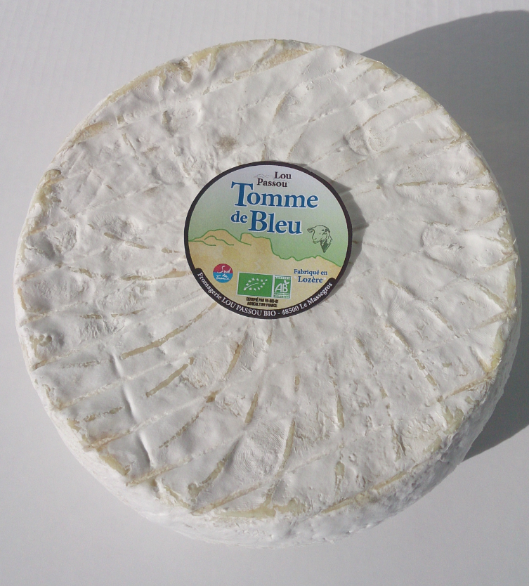 Tomme bleue