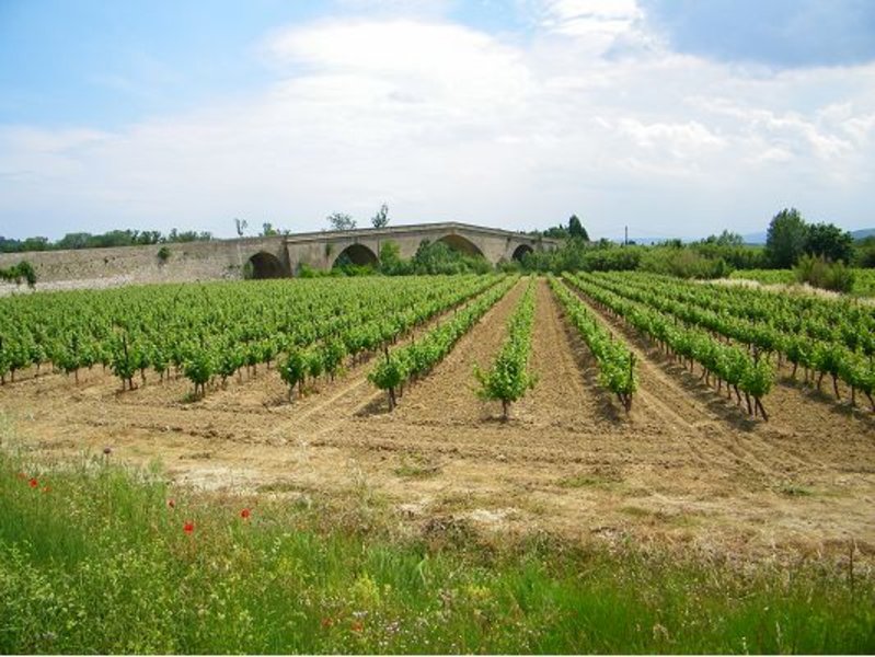 Chateau Cambriel Rose 2016