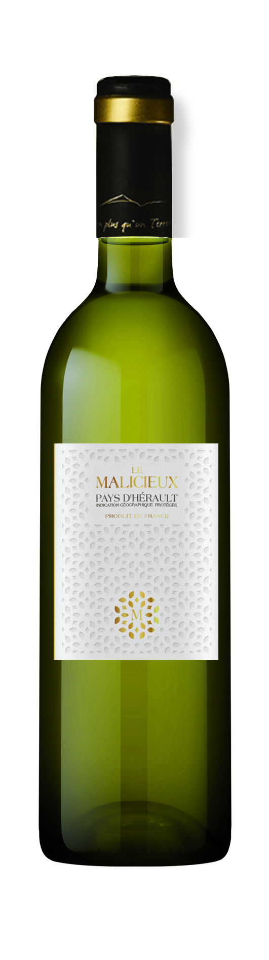 Le Malicieux blanc