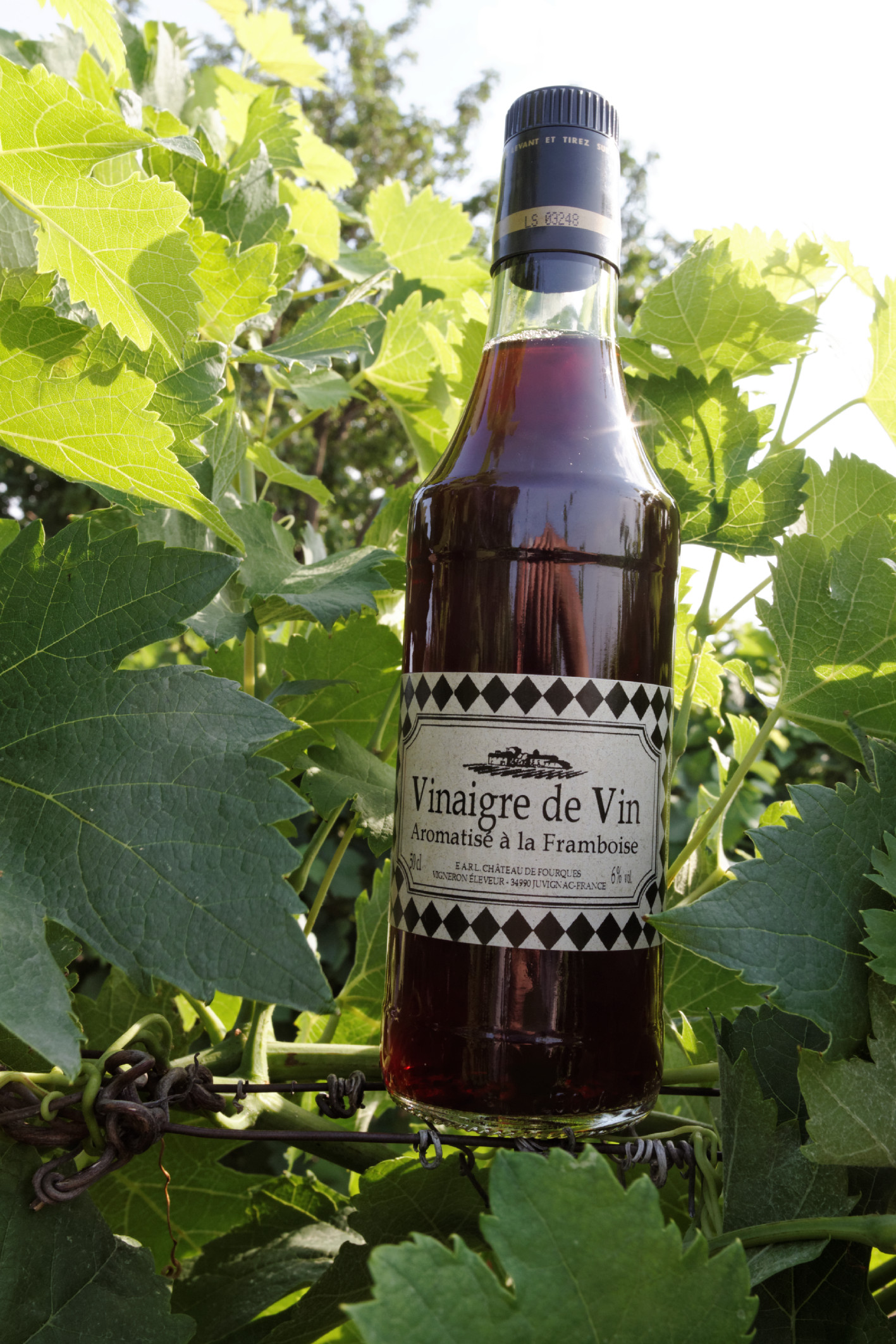 Vinaigre de vin