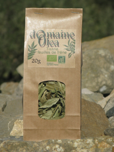Tisane de feuilles de Frene