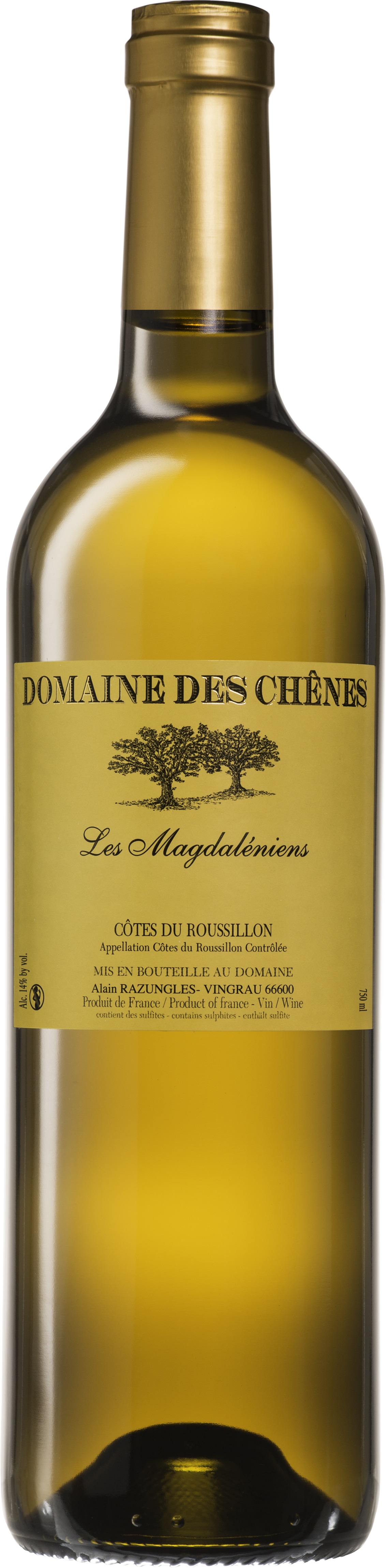 LES MAGDALENIENS