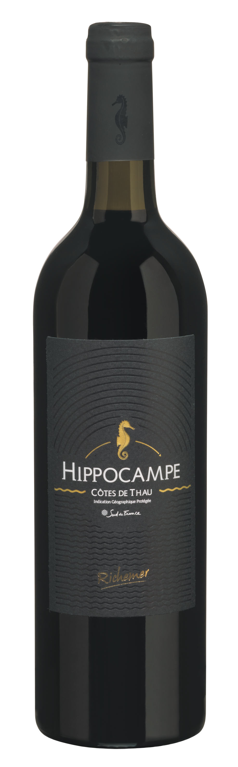 HIPPOCAMPE