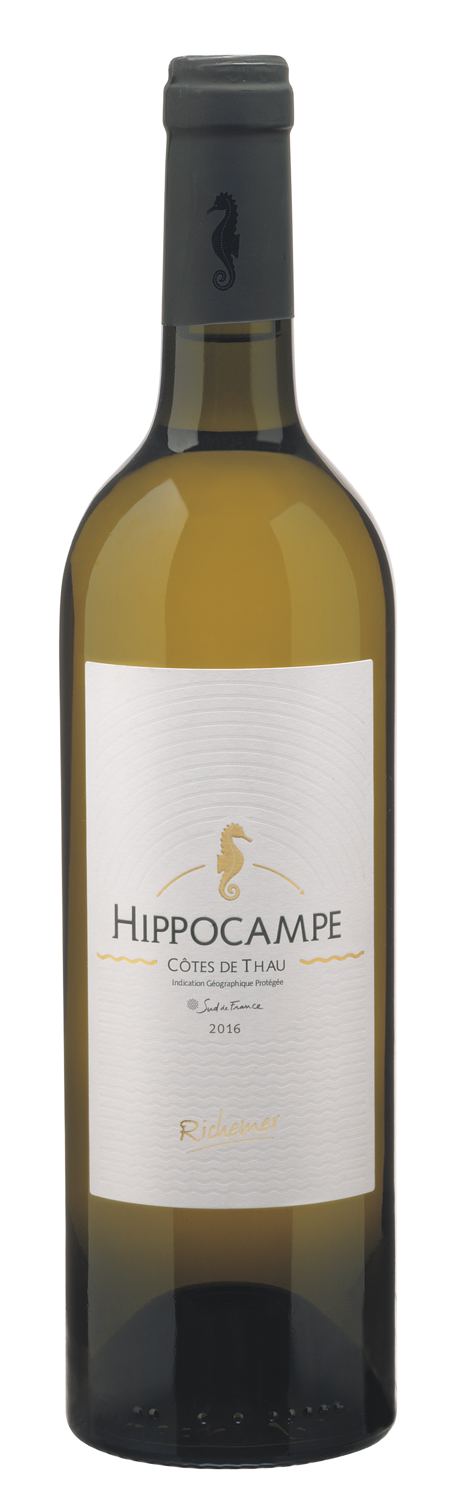 HIPPOCAMPE BLANC