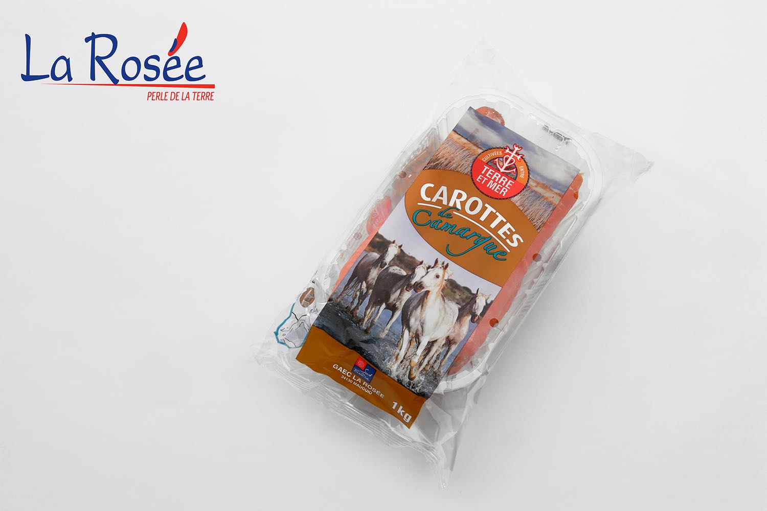 CAROTTE